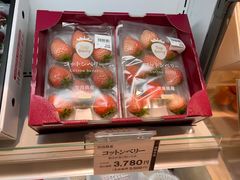 -阪急百货店(梅田总店)