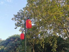 -杭州黄龙洞