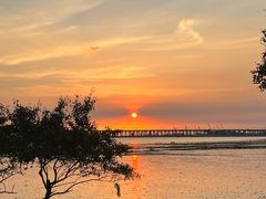 -宝安西湾红树林湿地公园