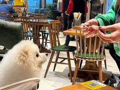 -新疆哈利德餐厅(紫薇都市店)