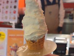 -野人先生现做冰淇淋(北京王府井东方新天地店)