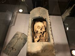 -北京大学赛克勒考古与艺术博物馆