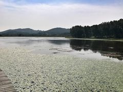 -塞罕坝国家级自然保护区