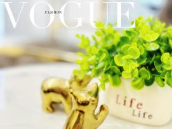 -MIVI野生眉纹绣纹眉