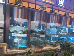 -老船舫·现做活鲜鱼馆(东郊记忆店)