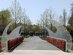 -东平国家森林公园