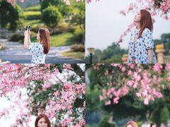 -东莞植物园