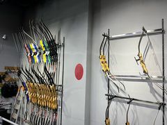 -蓝天射箭馆·专业射箭运动(诚丰广场店)