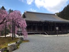 -西芳寺(苔寺)