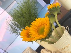 -天津波士信达奔驰4S店(卫津南路店)