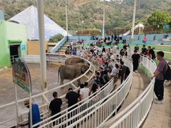 -大连森林动物园