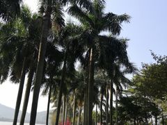 -顺峰山公园
