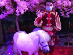 -珠海横琴长隆《卡卡虎奇遇记》