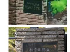 -灌篮高手动画打卡地