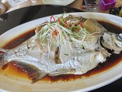 葱油钱塘江野生扁魚-双浦小院