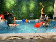 -Goku PET SHOP宠物视觉生活馆(双井店)