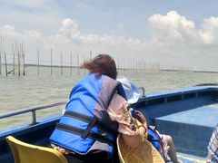 -北海金海湾红树林生态旅游区