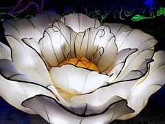 -长春公园(普阳街道)