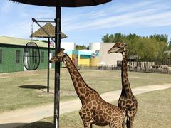 -鄂尔多斯野生动物园