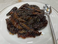 葱烧海参-同和居(月坛店)