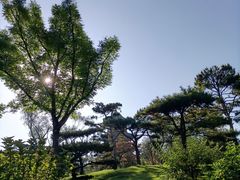 -迎泽公园