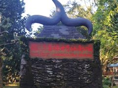 -海口火山口国家地质公园