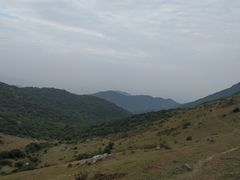 -大姆山草场