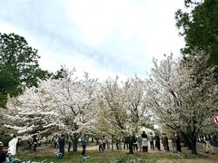 -同济大学(嘉定校区)