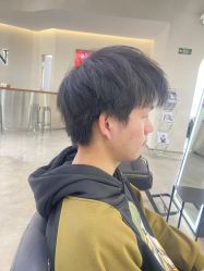 -蚂蚁造型沙龙