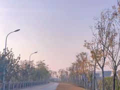 -马栏山视频文创产业园