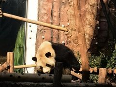 -五龙山野生动物王国