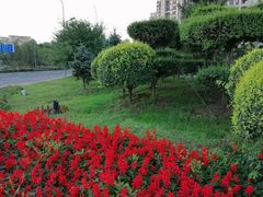 -保利·罗兰香谷