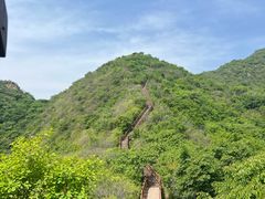 -大岭沟猕猴桃谷风景区