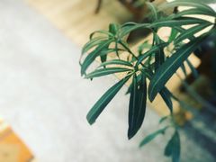 -山下C5cafe(惠通时代广场店)