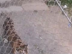 -石家庄市动物园