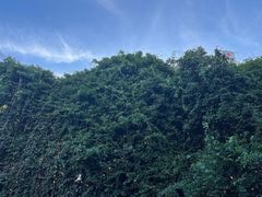 -源一咖啡馆(麒麟巷步行街店)