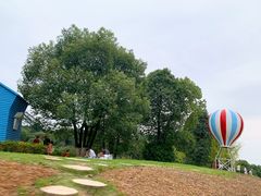 -铁山坪森林公园