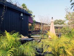 -花溪雨·森林餐厅(石基店)