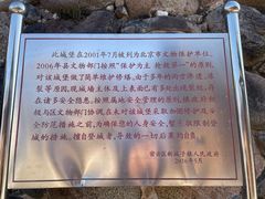 -遥桥古堡
