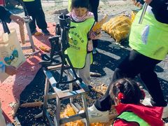 -京师双语幼儿园