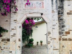 -金谷域澳洲庄园