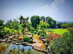 -铁山坪森林公园