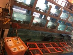 -光兴海鲜排档·小炒(莱利园店)