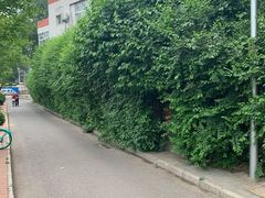 -斯多格书乡(北京大学畅春园店)