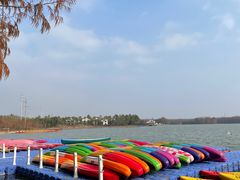 -上海海湾国家森林公园