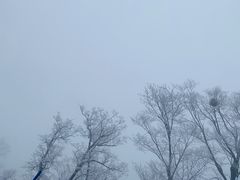 -长白山万达国际滑雪场