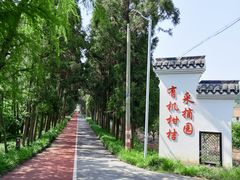 -上海长兴岛郊野公园