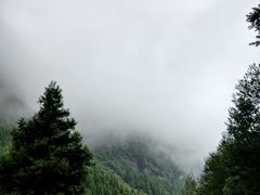 -重庆睡佛山森林公园