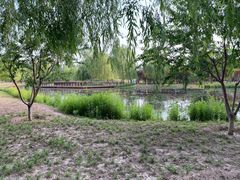-东郊湿地公园