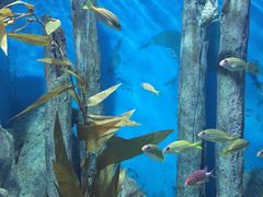 -福州罗源湾海洋世界旅游区